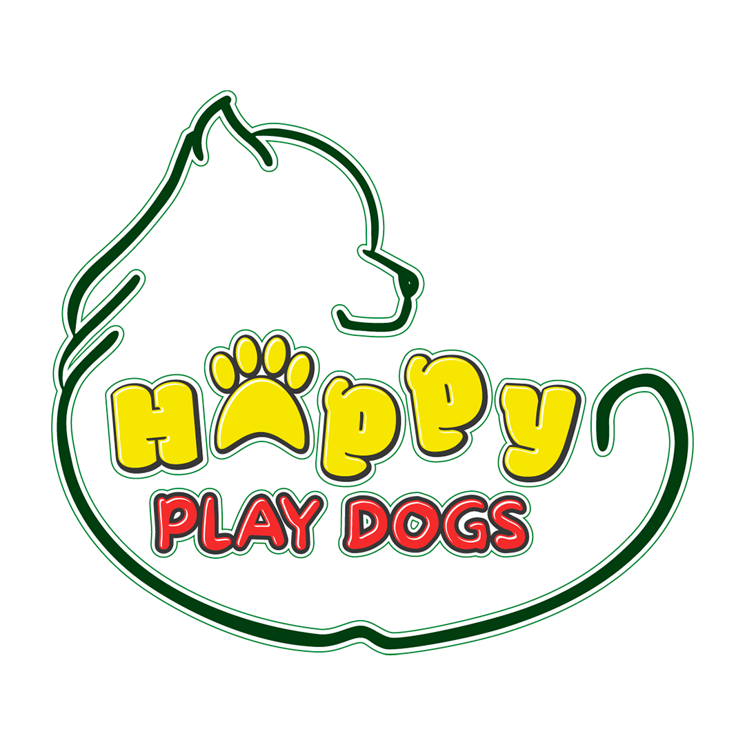 Happy Play Dog