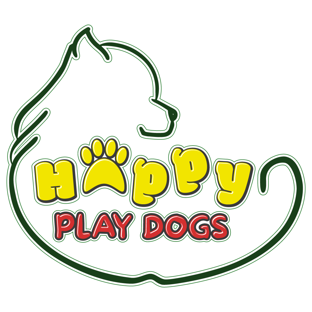 Happy Play Dog